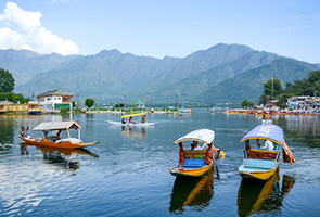 Kashmir